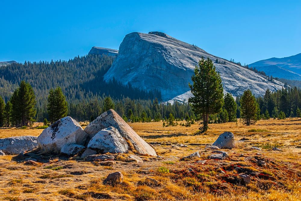 Best Yosemite Campgrounds for Adventurous Campers