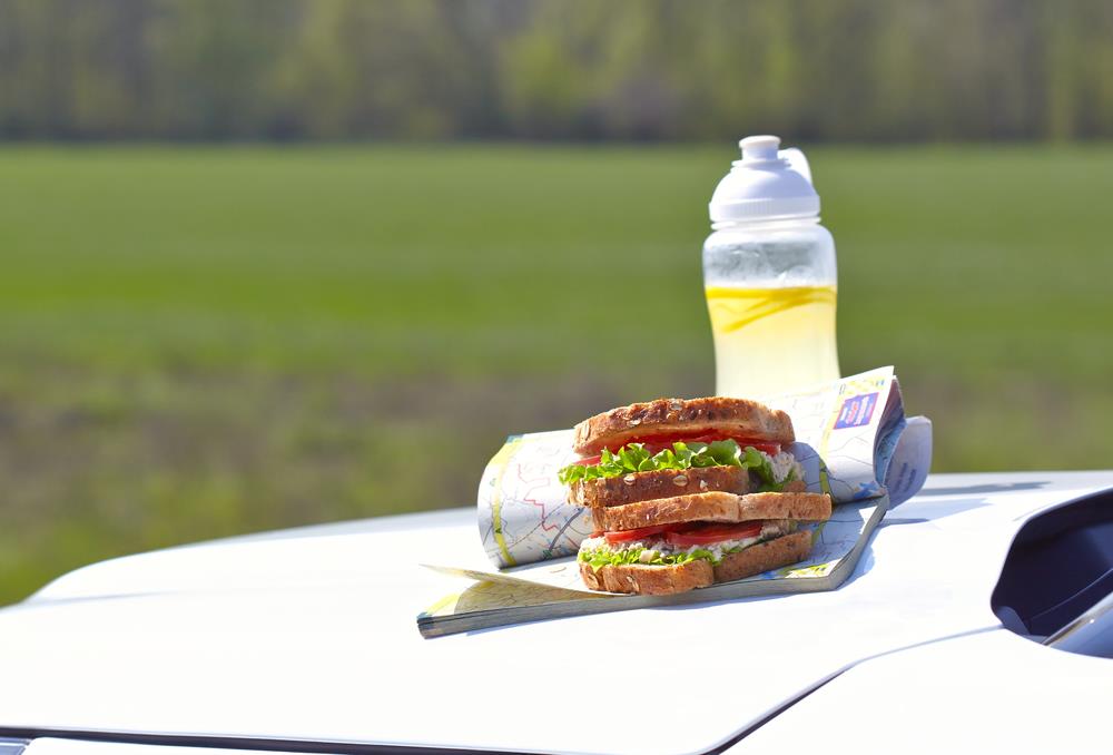 Campfire Sandwiches