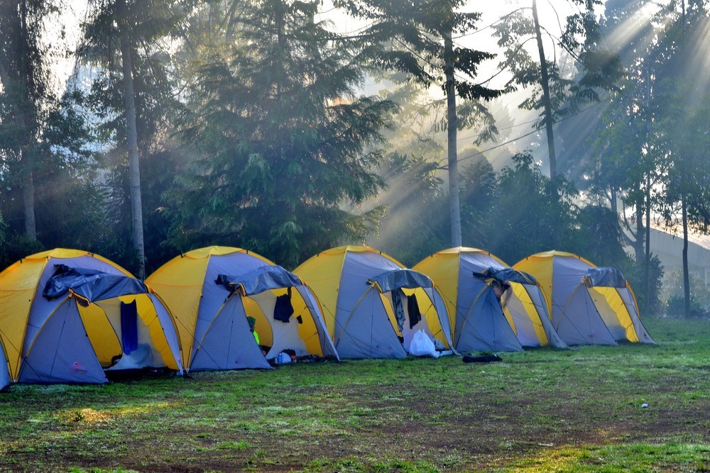 boy scout camping trips