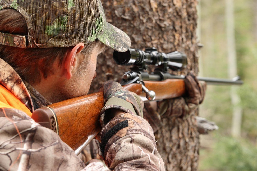 Where to Shoot a Deer for an Easy Kill