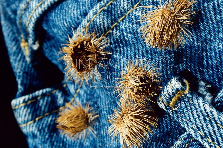 How to Remove Burrs from Clothing (2)